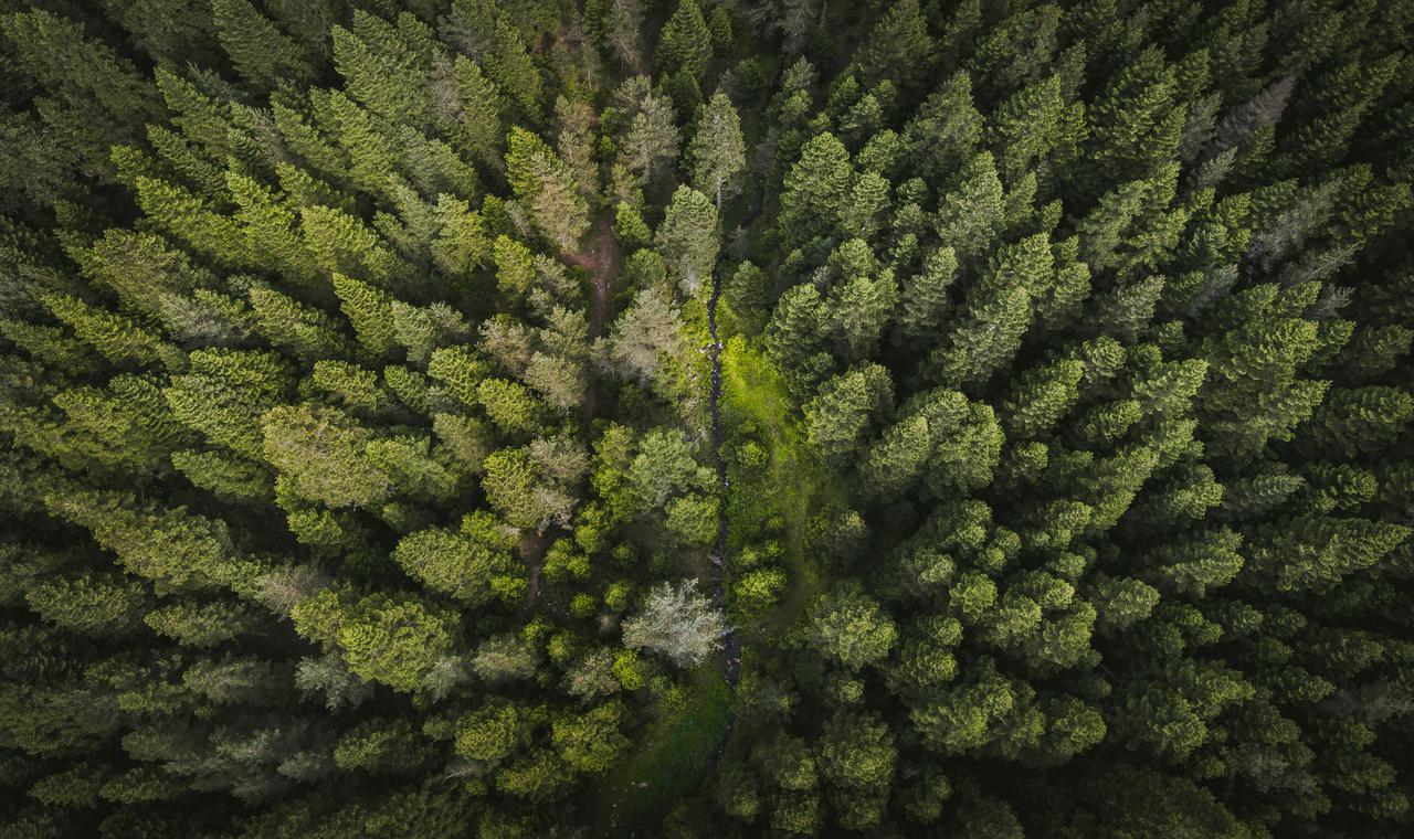 QESG, 유한화학 과학적 감축목표(SBTi) 승인 자문 완료 
